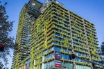 Commercial complex landscape promotes vertical greening of buildings