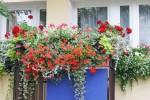 Improving the beautification of windowsill in residential space