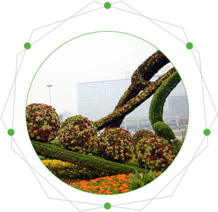 Application of Flower Ball in Green Sculpture of Beijing Olympic Games