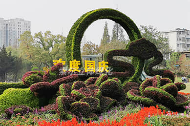Characteristics of three-dimensional flower bed