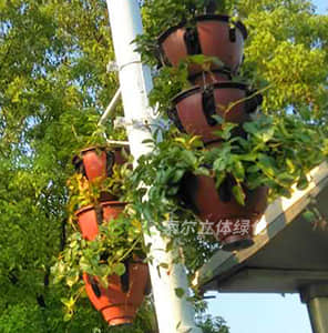 Hanging pole greening