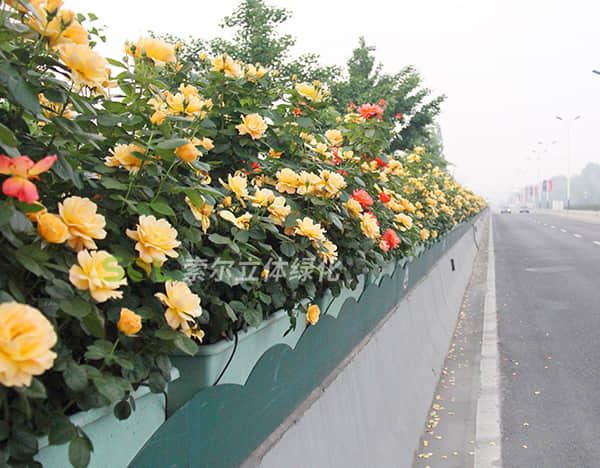 Brief introduction of viaduct greening solution 1