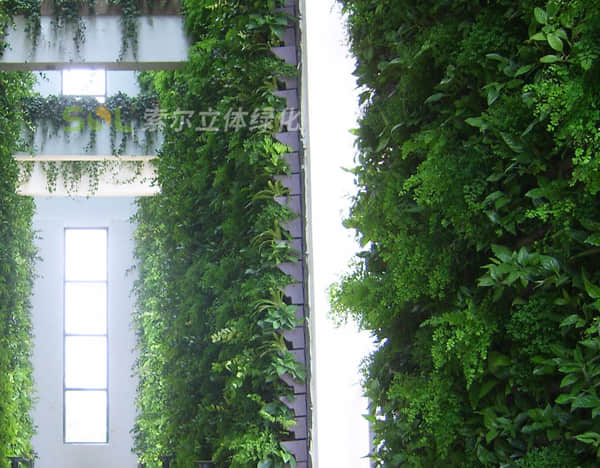 Brief introduction of plant wall greening solution 2