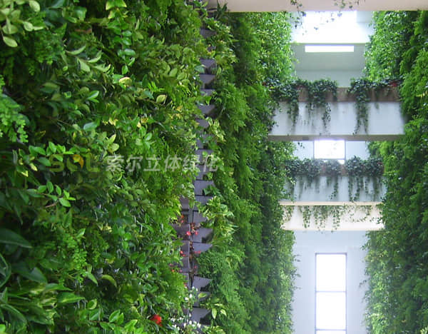 Brief introduction of plant wall greening solution 1