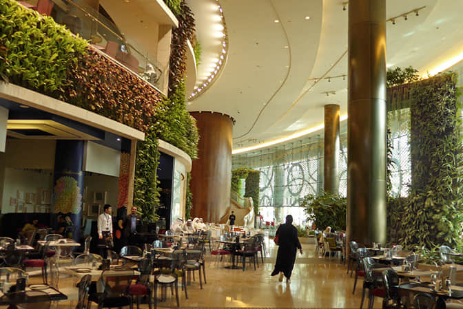 Vertical landscape improvement of restaurant