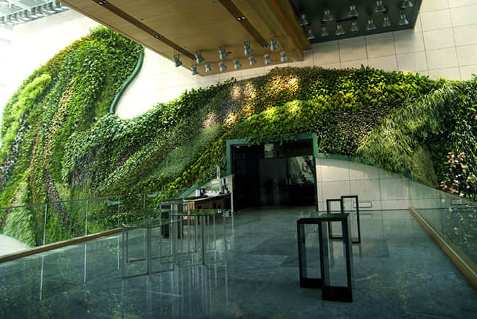 Hotel landscape promotes vertical greening of indoor plant wall