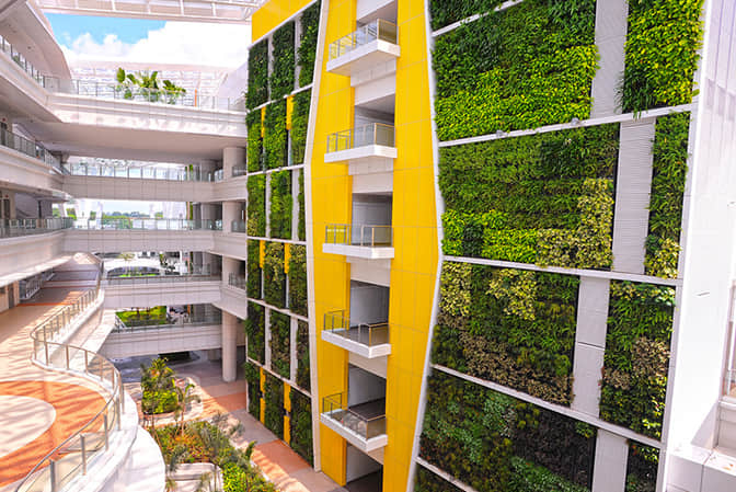 School hospital landscape promotes school vertical greening