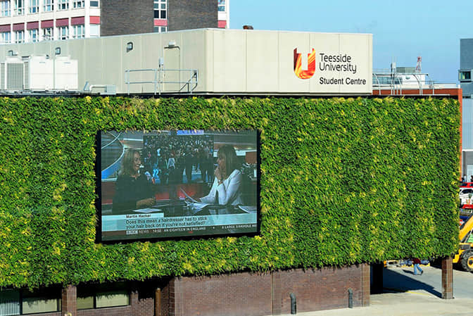 School hospital landscape promotes school plant wall