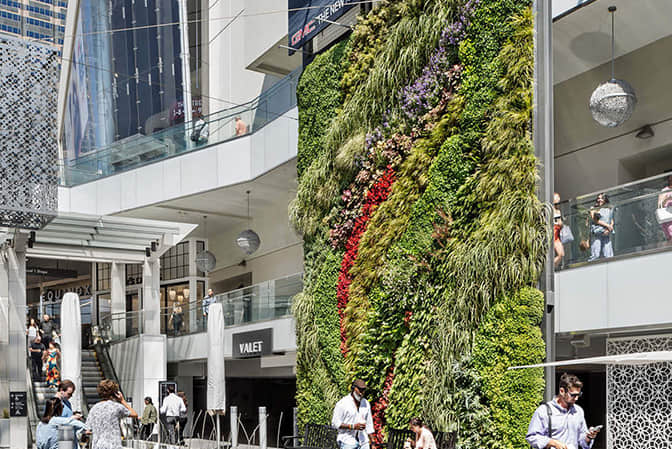 The landscape of shopping center promotes the greening of buildings