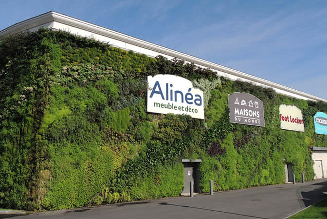 Shopping center landscape promotes vertical greening of building wall