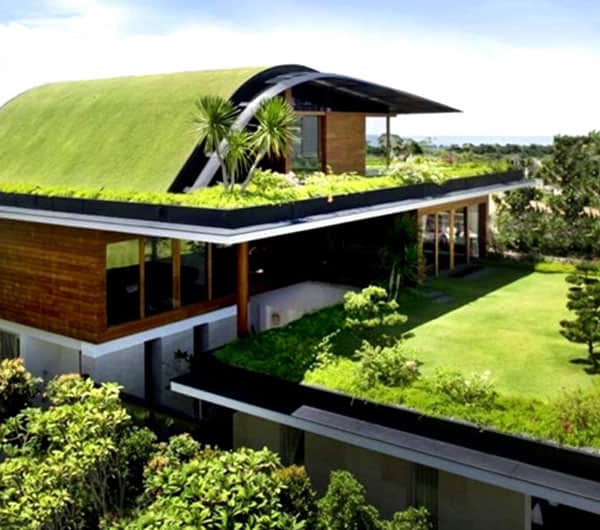 Roof greening solution display