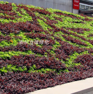 Slope roof greening