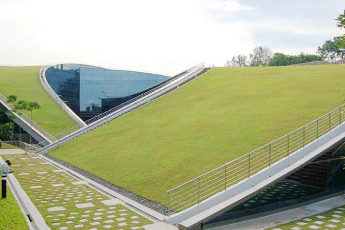 Public space landscape promotes roof greening of school