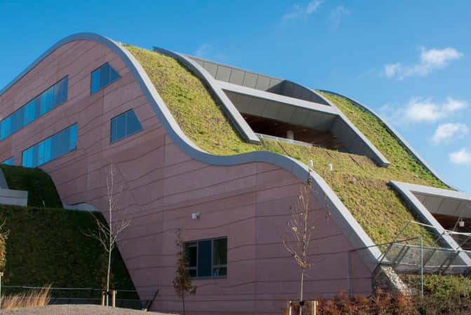 Public space landscape promotes hospital roof greening
