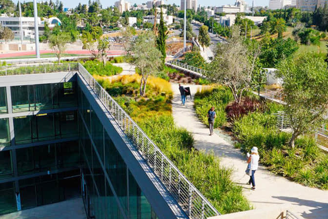 Public place landscape promotes school roof garden