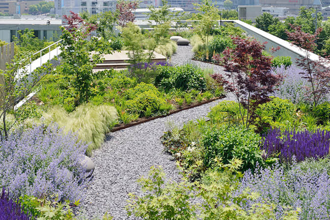 CBD building landscape upgrade roof garden