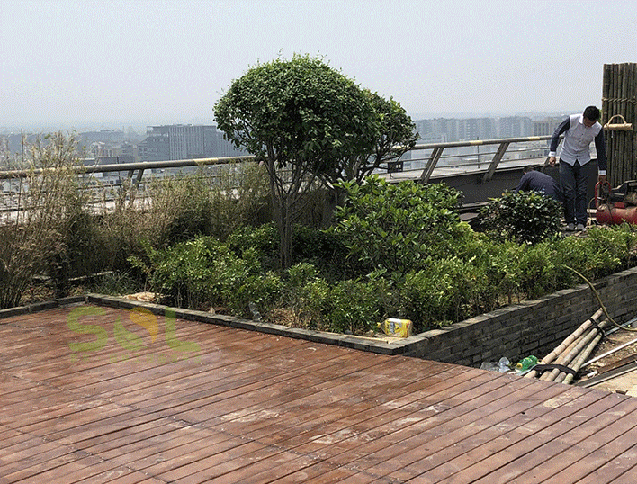Installation process of roof garden