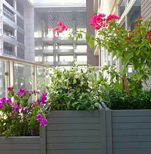 Balcony garden - modular combination