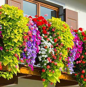 Single side hanging beautification of balcony guardrail