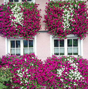 Window sill facade beautification