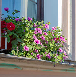 Window sill extension beautification