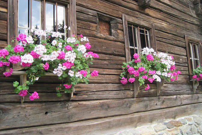Tourism town landscape promotes the window sill beautification of guest house