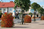 Road and street landscape upgrade 2