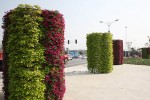 Municipal road landscape upgrade 1