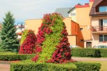 Improvement of community landscape 3