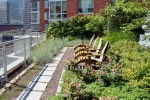 Landscape improvement of shopping and commercial complex