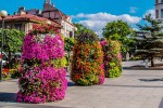 Square landscape upgrade 1