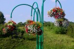 Park scenic spot landscape upgrade 1