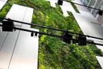 Commercial complex landscape promotes interior plant wall