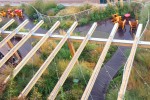 CBD building landscape upgrade roof garden
