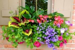 Tourism town landscape promotes the window sill beautification of guest house