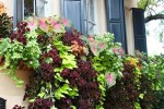 Improve the window sill beautification of high-end apartment