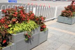 Square Park and other landscape improvement