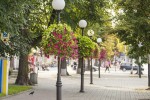 Road and street landscape upgrade 3