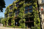 Building greening and landscape improvement