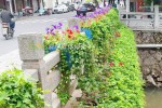 Improvement of municipal road landscape