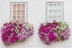 Improving the beautification of windowsill in residential space