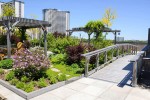 Residential space landscape upgrade high-end apartment roof garden