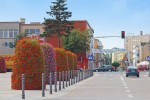 Road and street landscape upgrade 1