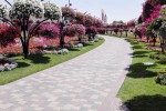 Park scenic spot landscape upgrade 2