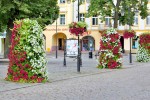 Square landscape upgrade 2