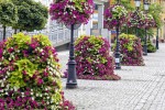 Road street landscape upgrade 4 pedestrian street landscape upgrade 3