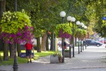 Road and street landscape upgrade 2