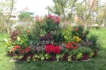 Square Park and other landscape improvement