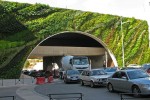 Improving plant wall of bridge by road landscape