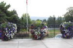 Building landscape improvement